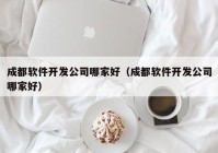 成都软件开发公司哪家好（成都软件开发公司哪家好）