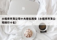 小程序开发公司十大排名西安（小程序开发公司排行十名）