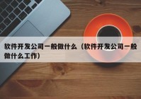 软件开发公司一般做什么（软件开发公司一般做什么工作）