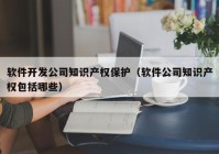 软件开发公司知识产权保护（软件公司知识产权包括哪些）