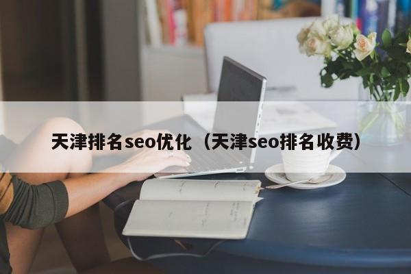 天津排名seo优化(天津seo排名收费)
