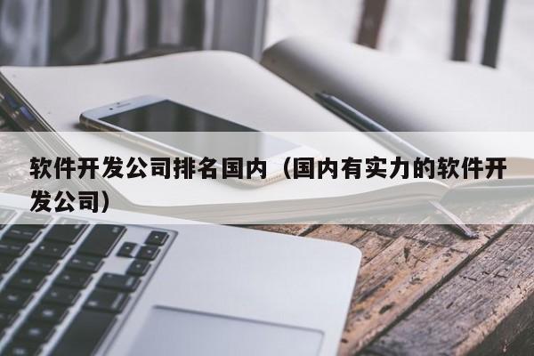 软件开发公司排名国内(国内有实力的软件开发公司)