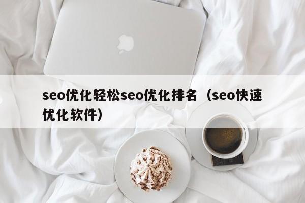 seo优化轻松seo优化排名(seo快速优化软件)