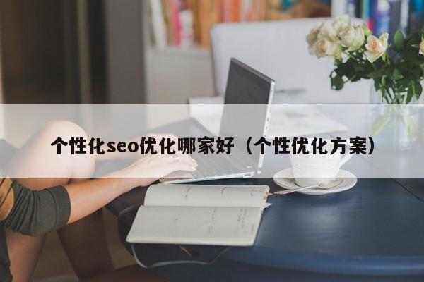 个性化seo优化哪家好(个性优化方案)