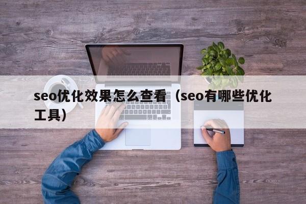 seo优化效果怎么查看(seo有哪些优化工具)