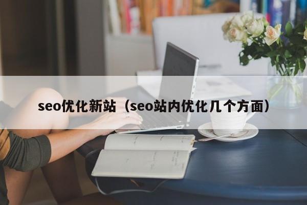 seo优化新站(seo站内优化几个方面)